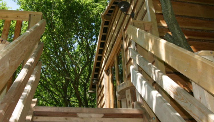 A timber treehouse surrounded by green woodland at Into the Woods on the Isle of Wight